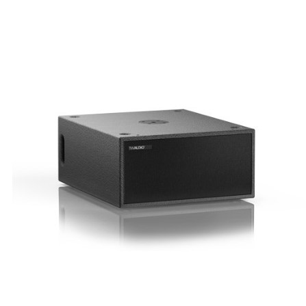Loa subwoofer TW Audio B14