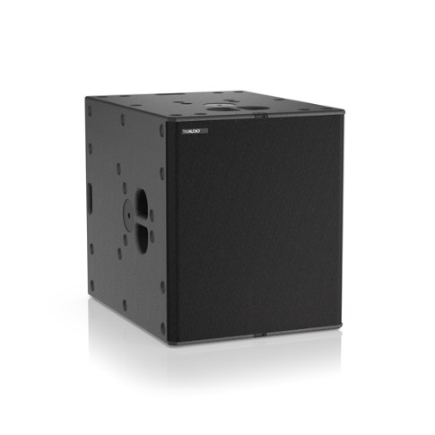 Loa subwoofer TW Audio B21