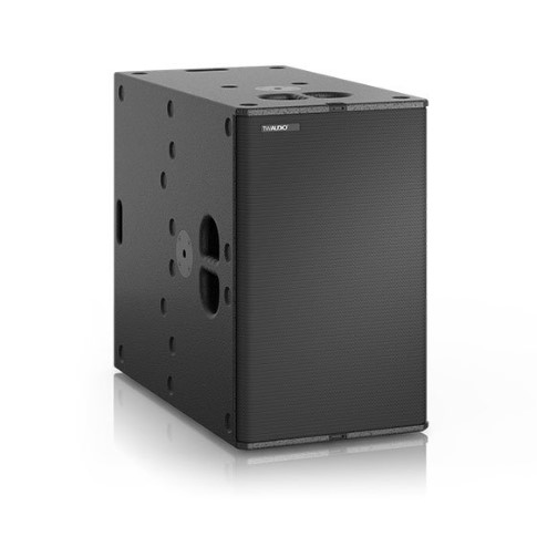 Loa subwoofer TW Audio B30