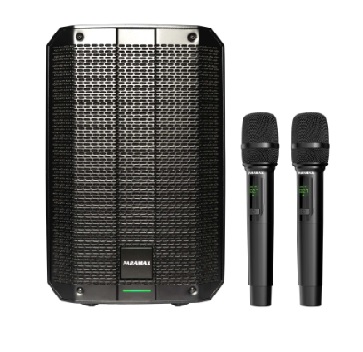 Loa di động đa năng PARAMAX ProCore 2000